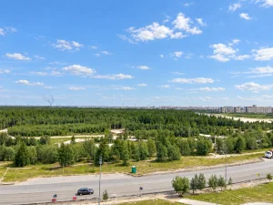 Фото 24 мкрн. Восточный 4/5